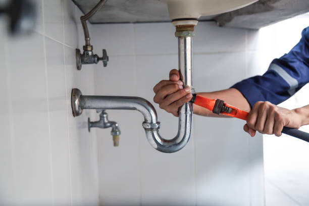 Best Drain Cleaning Services  in Pomona Park, FL