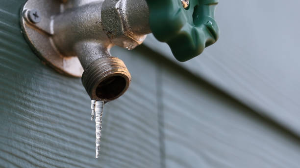 Best Residential Plumbing Services  in Pomona Park, FL